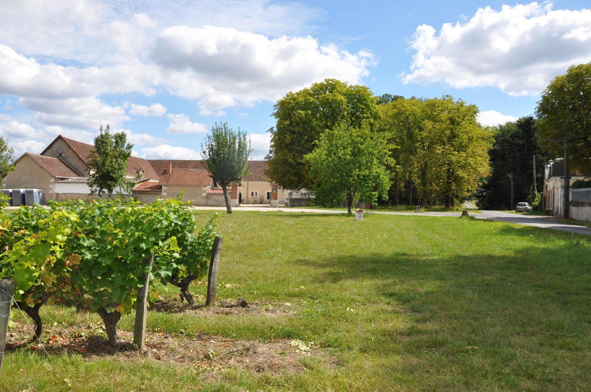 Les Pierres D'Aurele Chambres D'Hotes Saint-Georges-sur-Cher Exterior foto